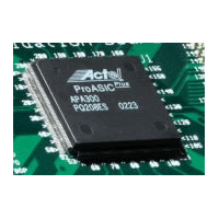 IP SERVO MOTOR Cores for APA Actel